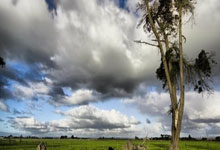 关于赛前诸葛亮|姆巴佩的仇，世俱杯上报的信息